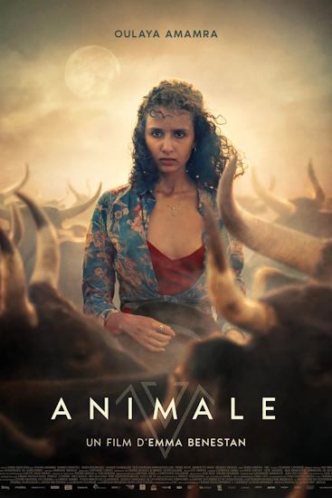 Animale.jpg