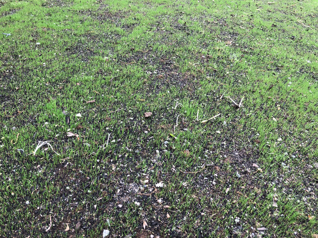 4516E15E-133D-4BC3-80E0-59CBF2E65314