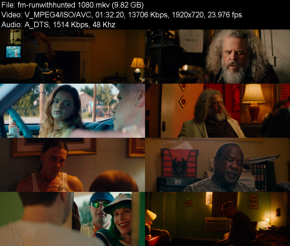 run-with-the-hunted-2019-1080p-bluray-x2