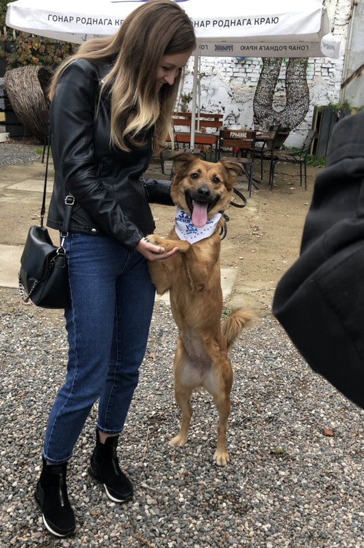 38DDDBD7-106A-4FD1-A6EA-86D0789C4893