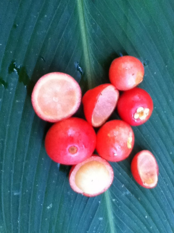 22DA299F-2C2A-44D4-A763-E6D148CF809B