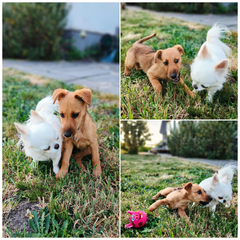 InShot_20250502_184355360