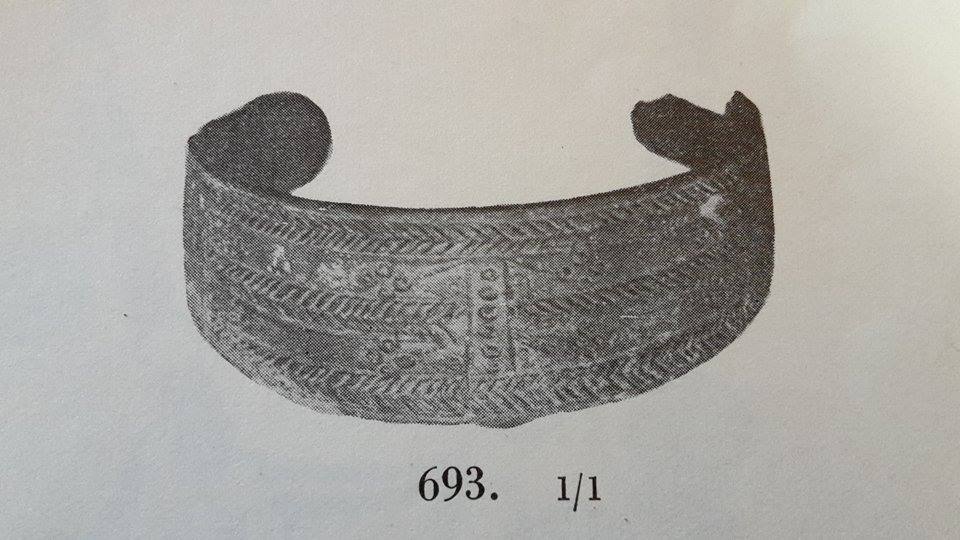 11998715_10206417545110490_213053269_n