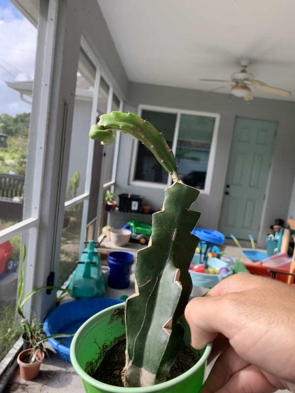 37196F33-19BA-4223-9948-D295D46FFE7D