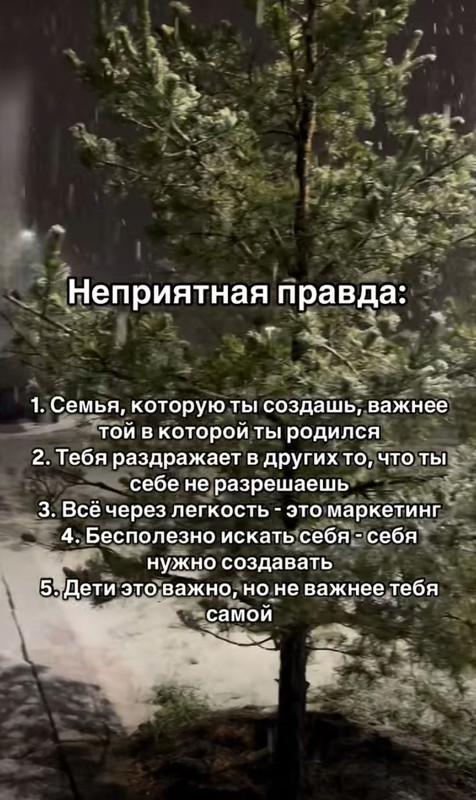 [Изображение: d987f8ce010403c8b88dd9a24e8d5727.jpg]