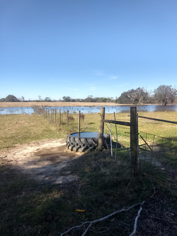 IMG_20181222_104147497_HDR