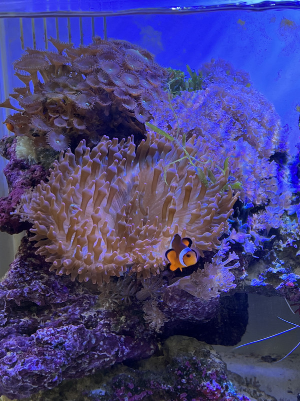 B9FA5D98-0D89-40B1-8908-9E01120EB3AF