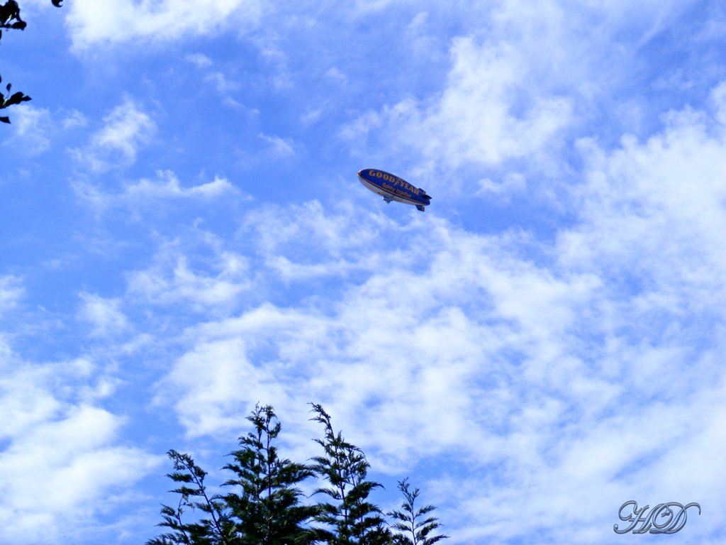 DSCF7502.jpg