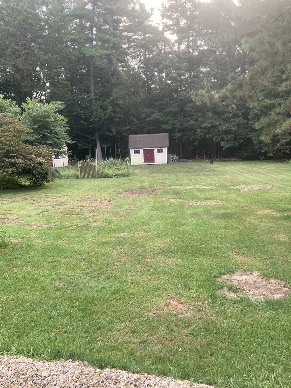 553A51C1-6702-464C-A178-C3418F938C43