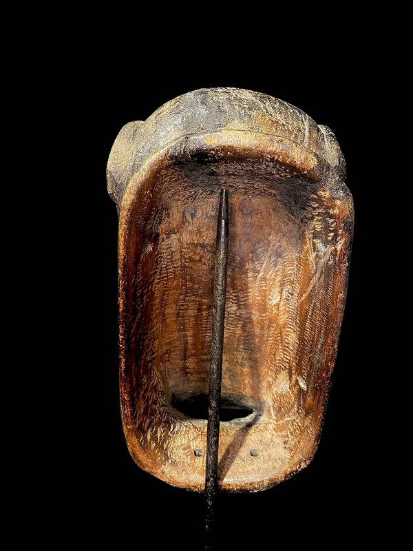 large image 11