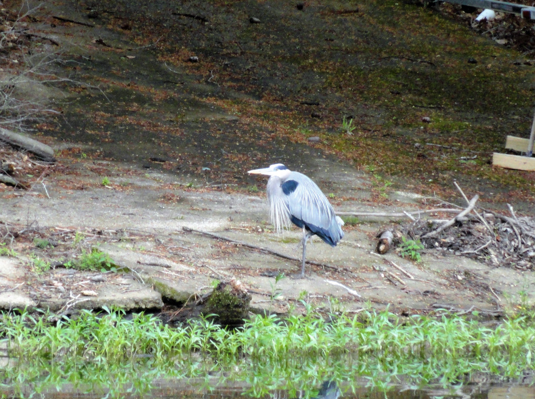 DSC06376-2.jpg