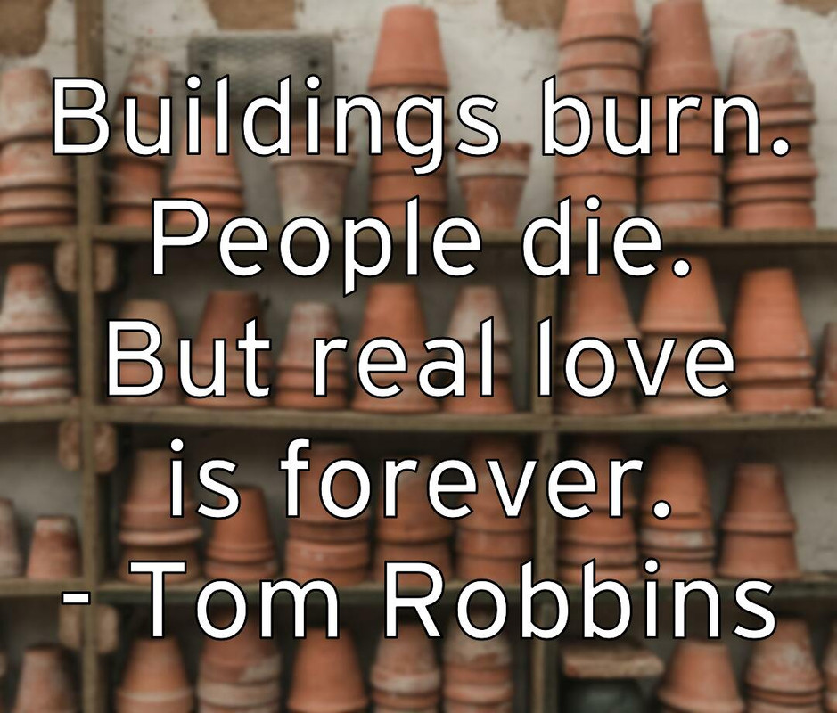 buildings-burn-people-die-but-real-love-is-forever-tom-robbins