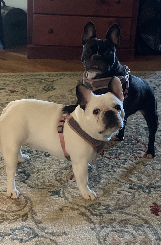 E7F10CF6-4654-4563-90B5-426DD774971A