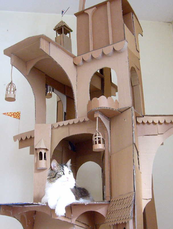 cat-forts2.jpg