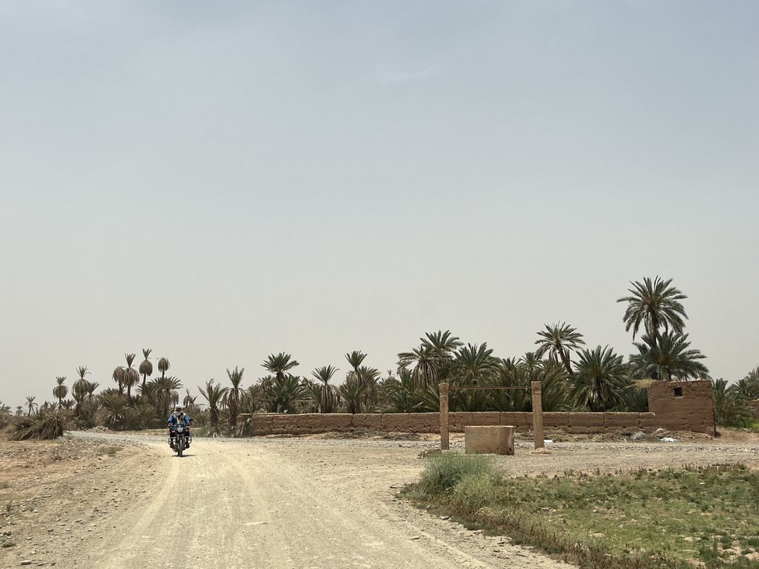 El palmeral de los Katawa : Tagounite - El Valle del Drâa, la gran arteria del sur de Marruecos (13)