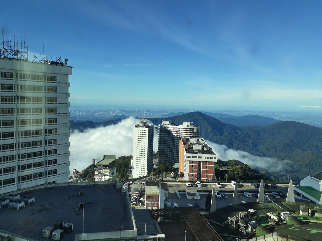 20191126-083534.jpg
