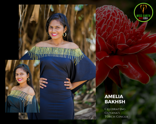 CANDIDATAS A MISS TIERRA GUYANA 2019.  FINAL 15 DE JUNIO CC32-EB26-6-ECC-4-D02-92-DD-0-CAD16-E12562