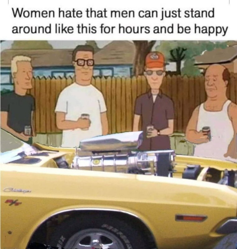 Screenshot 2026 06 02 at 08 35 37 Post a MEME Thread Page 5768 Yellow Bullet Forums