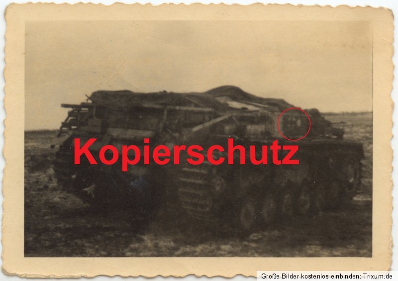 Orig. Fotos Sturmgeschütz-Abt. GD Elite Ordensve