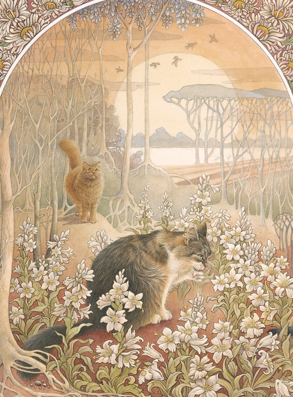 DAWN-WITH-DANDELION-AND-AGNEATHA-IN-LILIES-1-C25010-1