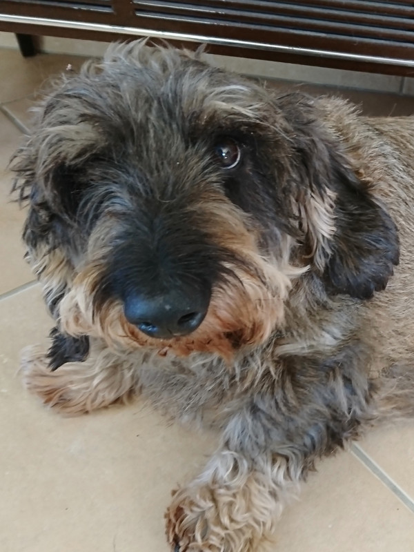 [Image: DSC-2590.jpg]