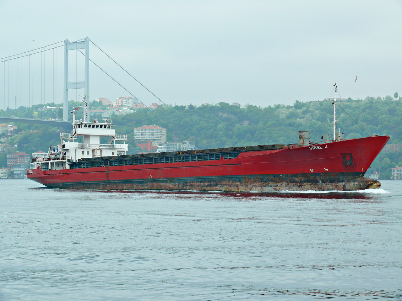 Sibel J (OK 110512 1)