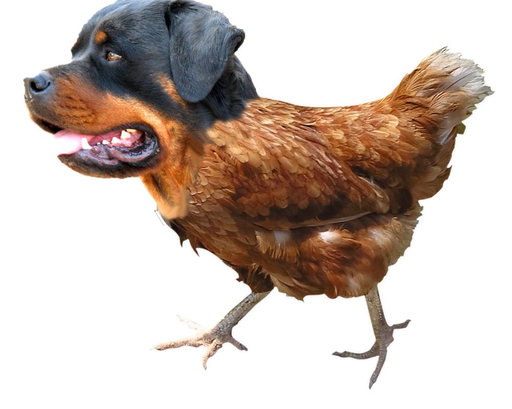 89b3d80c5c5b371e4b0560a341046e05