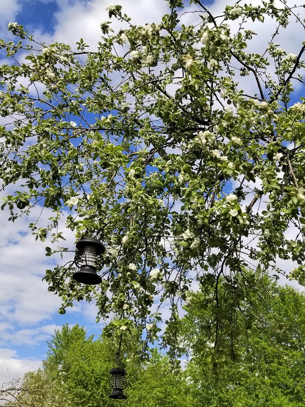 https://i.postimg.cc/GpSJLkJd/48-IMG-20250507-154447.jpg