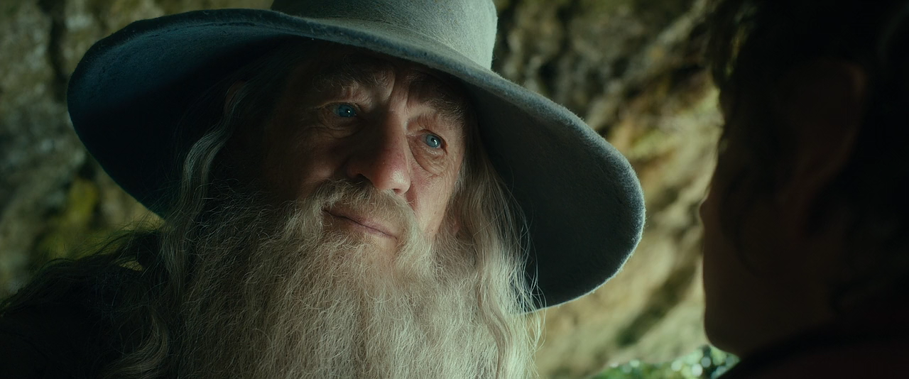 The Hobbit An Unexpected Journey.2012.720p.BluRay.x264-LEONARDO.mkv - 01.11.48.721