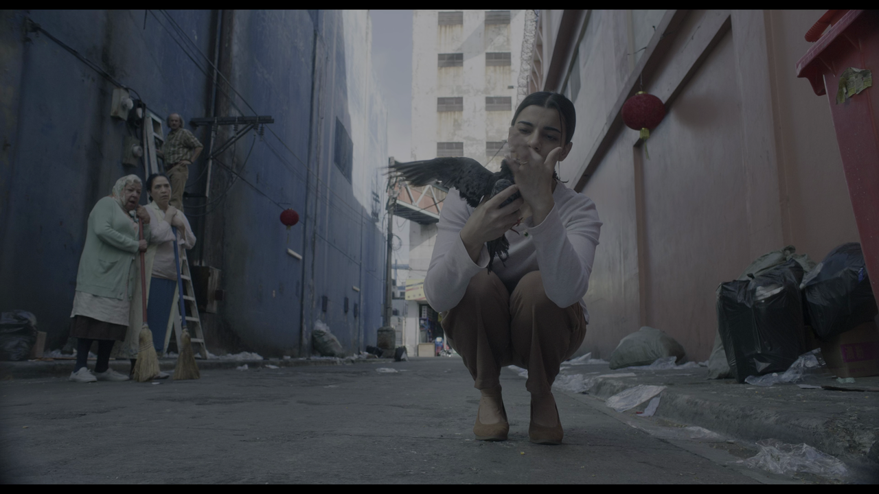 vlcsnap-2023-12-26-08h51m59s912