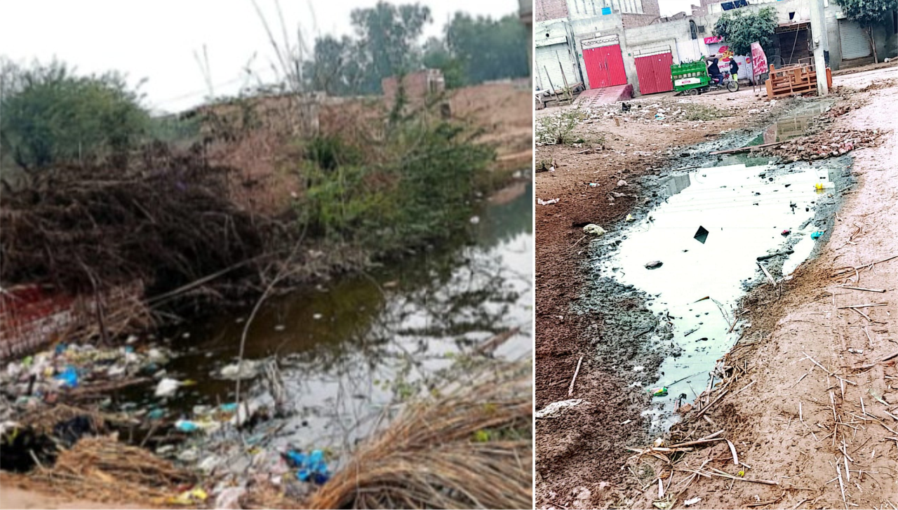 اسکول کے قریب گندے پانی کا تالاب، بچوں کی زندگیاں خطرے میں! Dirty water pond near school, children's lives in danger!