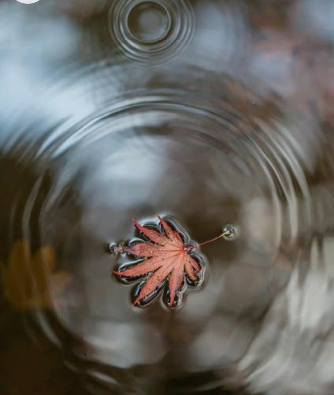 Screenshot_20230131_004431_Chrome