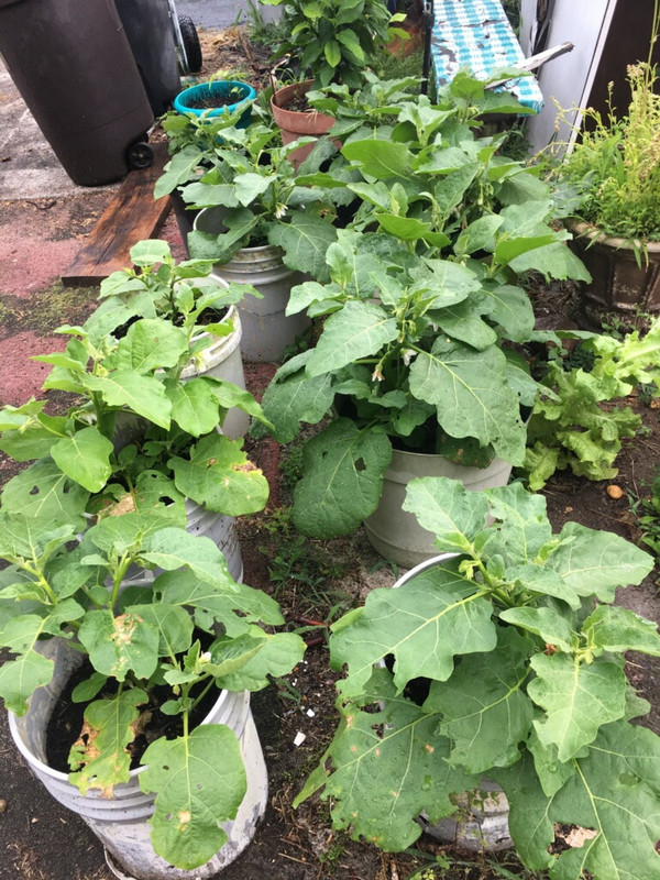 0655518D-C25D-4F9C-9EC5-163A3AF22992