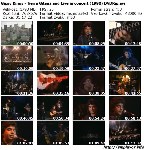Gipsy Kings - Tierra Gitana & Live in Concert (1990)