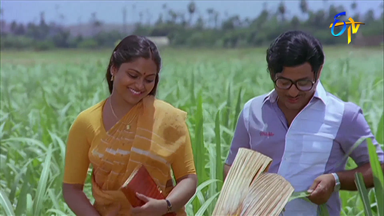 vlcsnap 2026 02 04 14h01m16s213