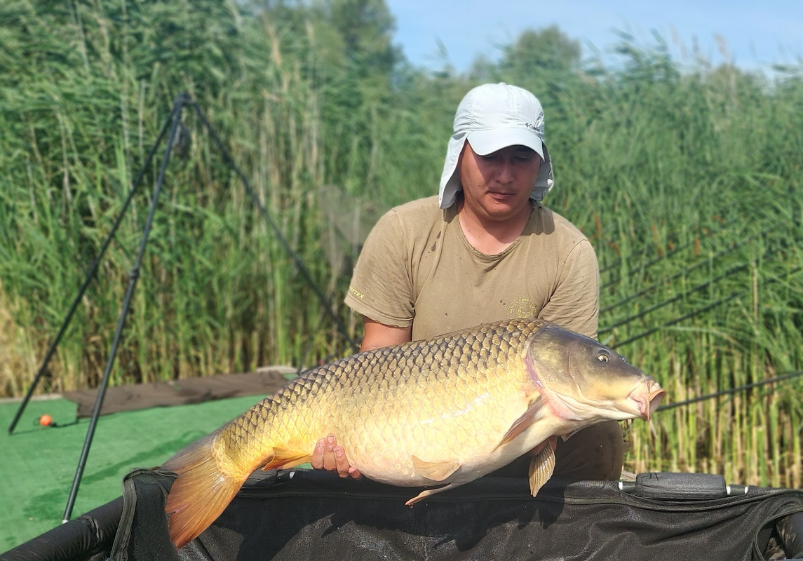 Биг турнира 3 день