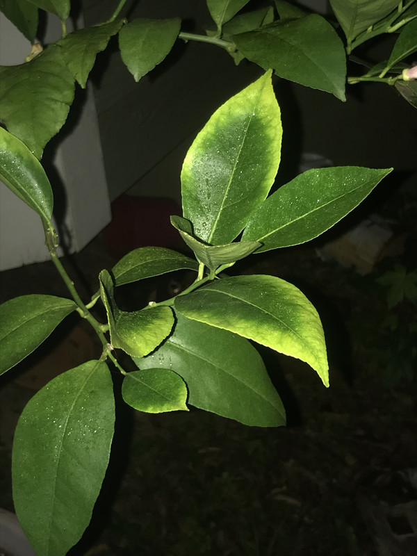 2D17C124-7063-47DD-962A-3E2FBDBE5764