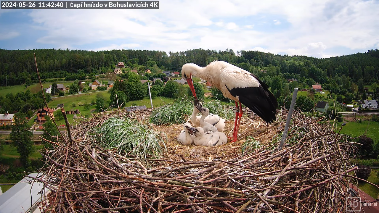 Tiešraidē no uzņēmuma KARA stārķa skursteņa Bohuslavicē pie Trutnovas 10-35-54 screenshot