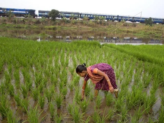 Beyond the Fields A Bigger Plan