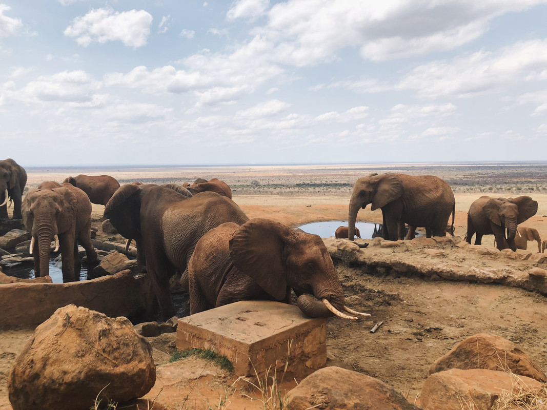 88A43ADD-251D-4710-A12E-29CA6B474841