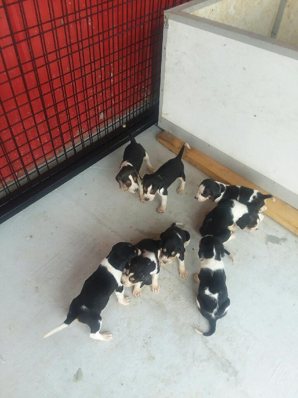 B034B5CE-5062-40EC-BC59-8F4ACC588D38