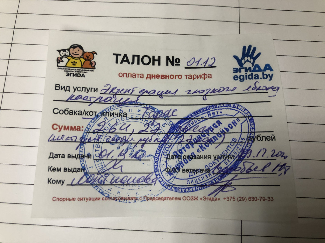 BAC8F57F-7B45-4F00-ADD5-EE6F604C5328