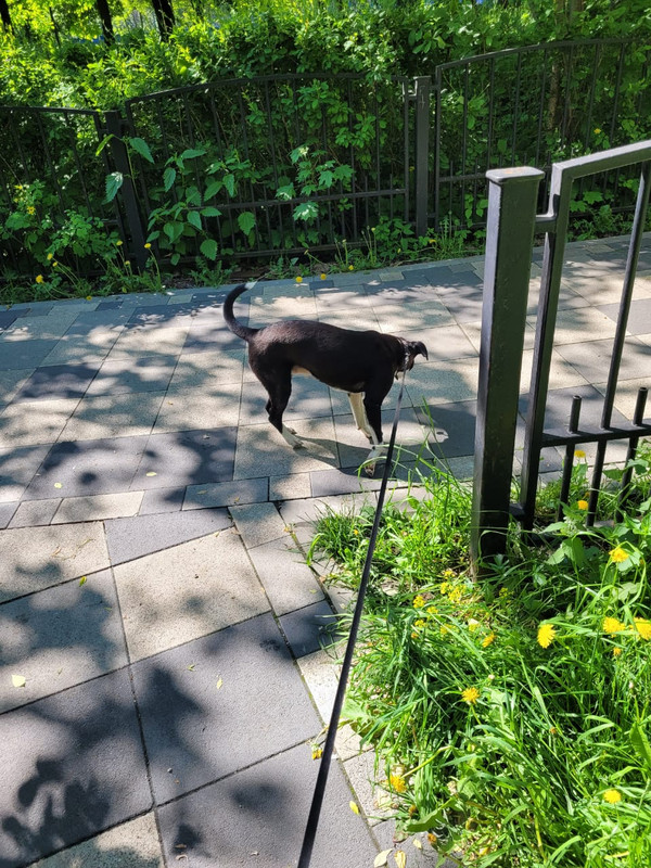 1E184B97-4F15-4E84-8E34-571C9739F6C1