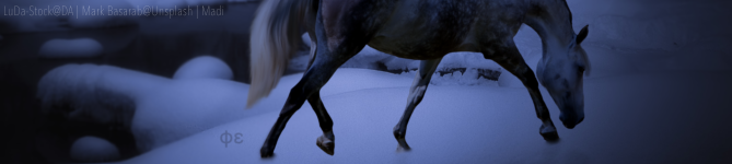 B1FF4784-34CC-48E4-8404-3EBEEE30E920