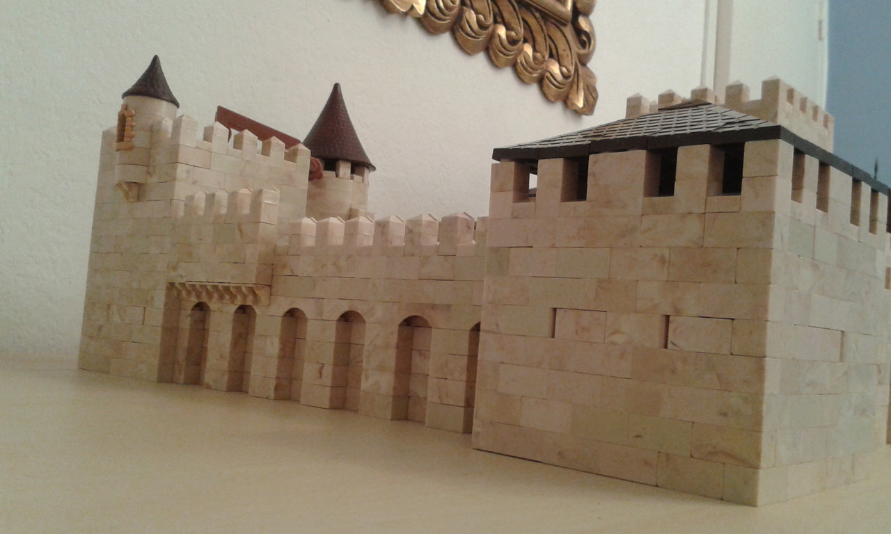 Detalles amplios (10)