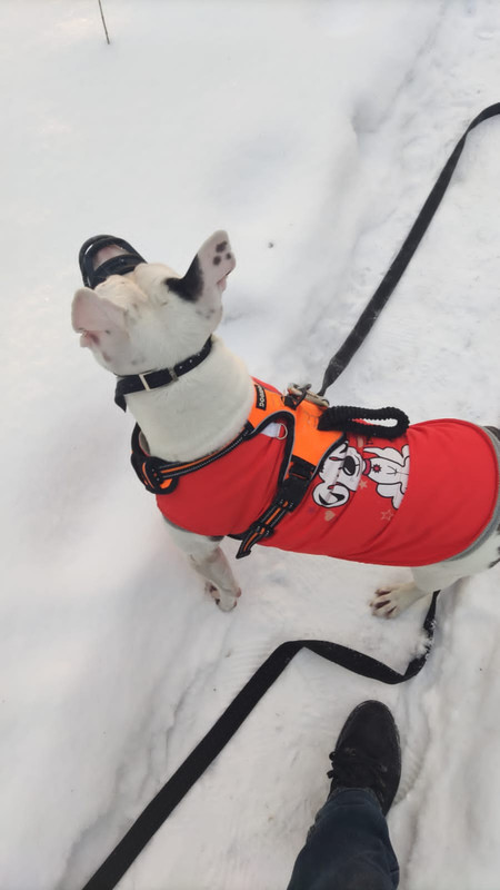 9EA88A7A-4D60-47A4-BA7F-C5040F61173C