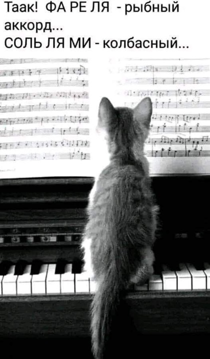 26b59fb0af91d5233341d48d8c2b4788