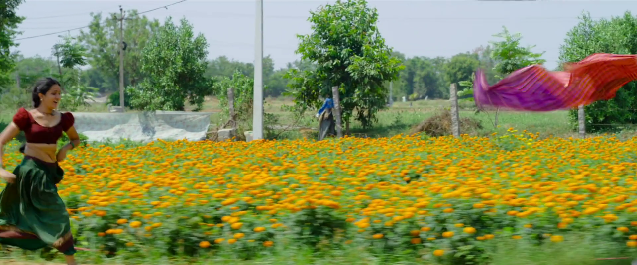 vlcsnap-2024-01-13-14h43m28s424