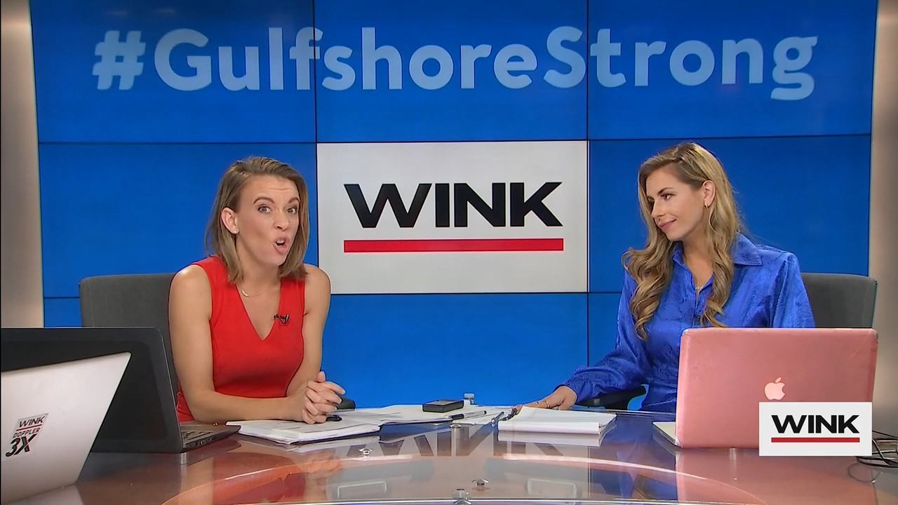 10.09 - 13.00.00 - WINK News at 8 00AM  ᴺᵉʷ..ts_snapshot_00.53.52.121