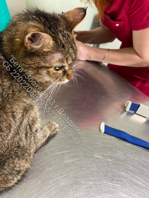 DW8NneO1aPSNmTTamuuMSiwMkvIs_E3rpA6M7z6MBS2mvdjX-mmH7nWG7VdSiUD9qyWw8Vxuoqd8y7lK9DC8rMZW